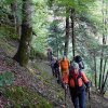 09 b Schluchensteig Etappe 4 - 6
